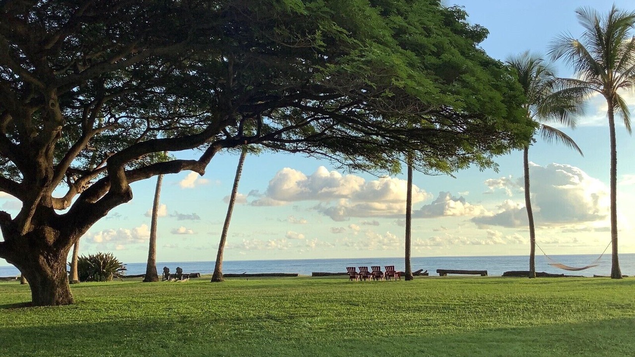 Photo of Outdoor in Waimea
