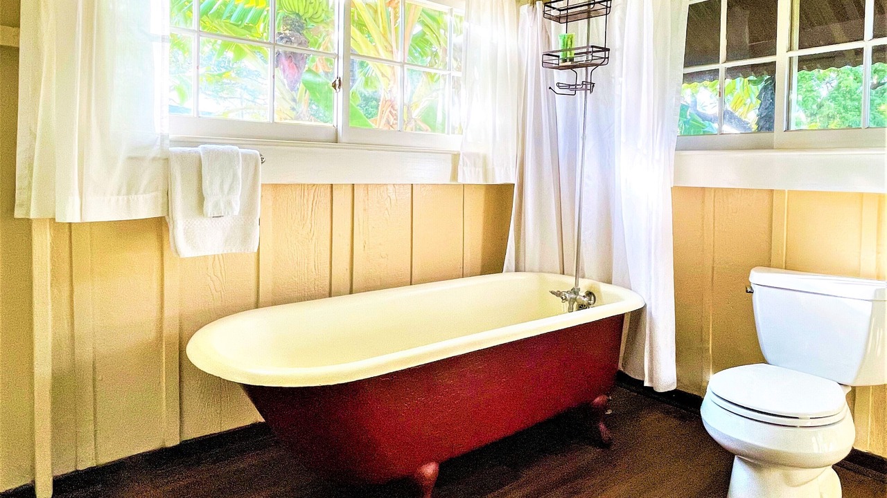 Photo of Bathroom in Waimea