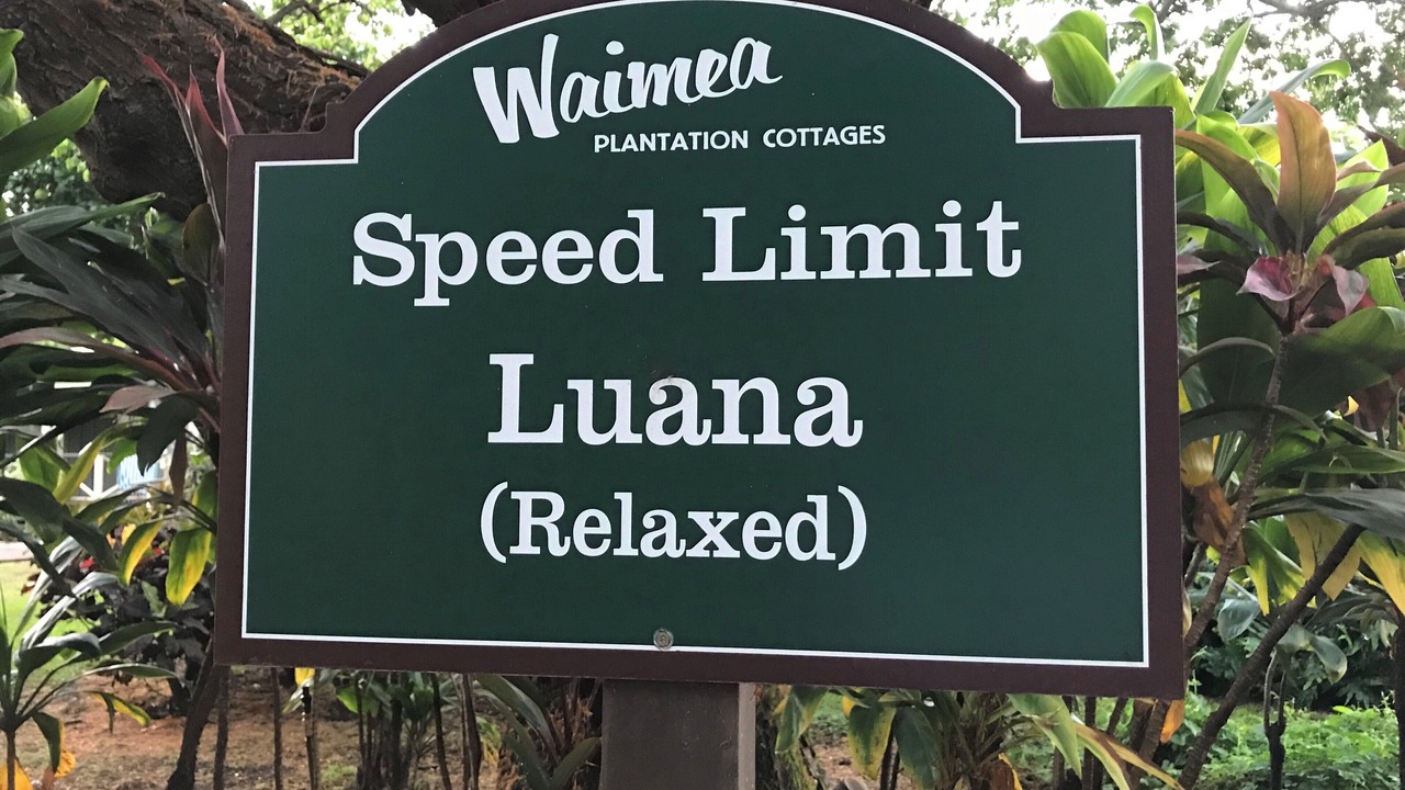 Photo of Outdoor in Waimea