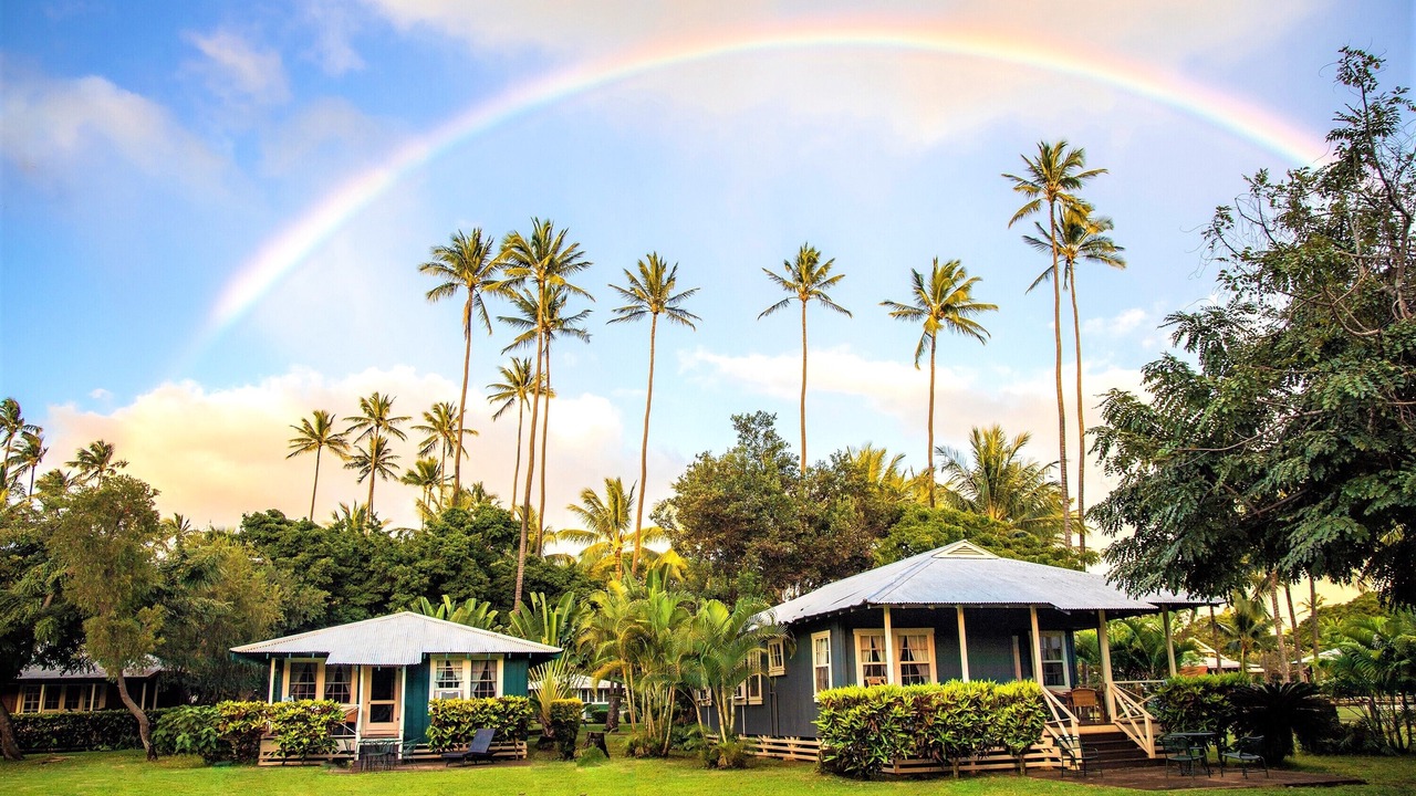 Photo of Outdoor in Waimea