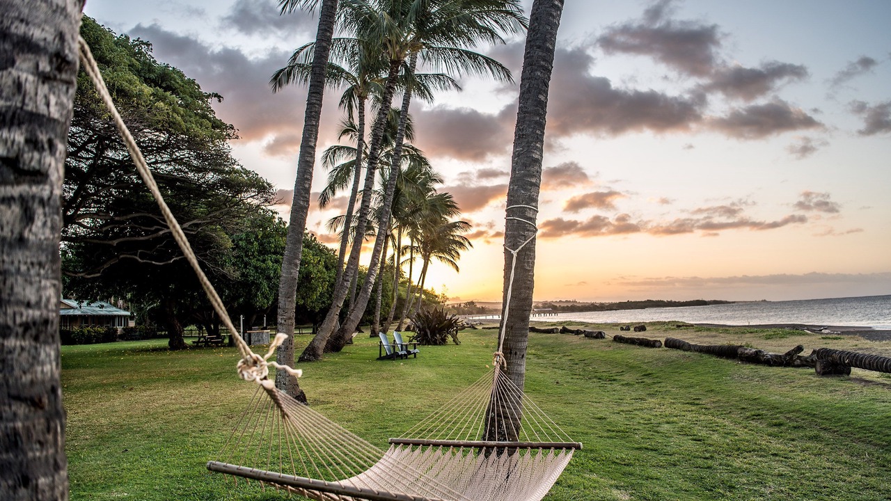 Photo of Outdoor in Waimea