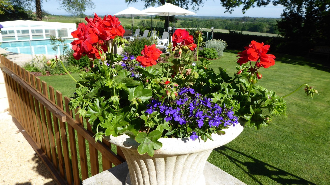 Photo of Outdoor in Cendrieux