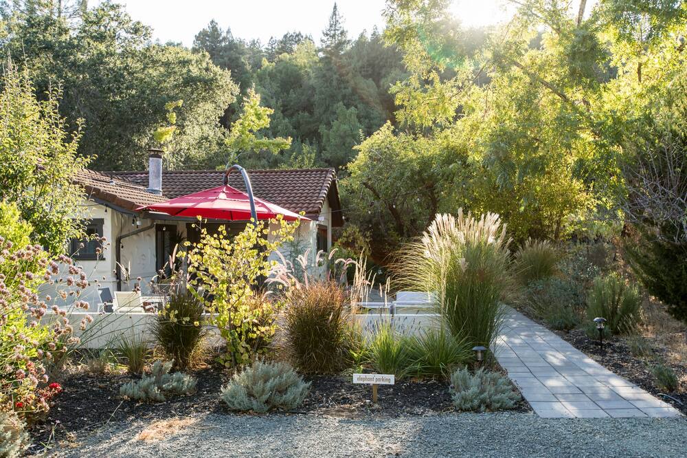 Photo of Outdoor in Napa