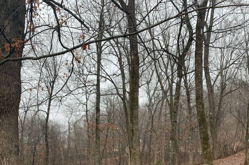 Photo of Outdoor in Fayetteville