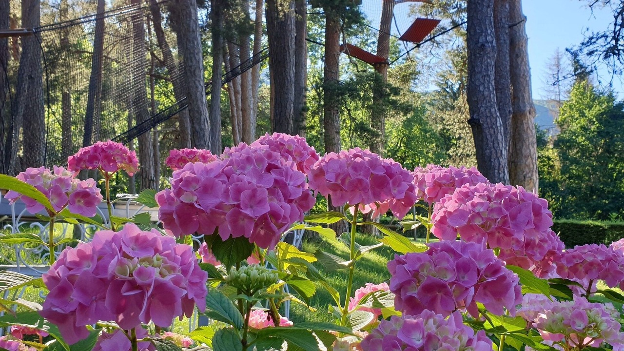 Photo of Outdoor in Saint-Jorioz