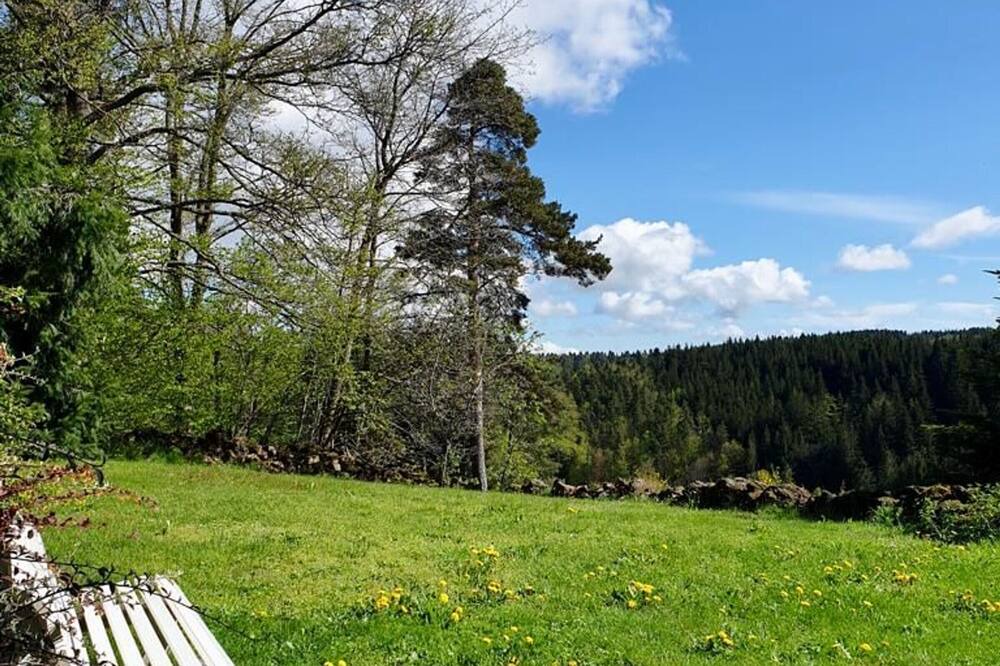 Photo of Outdoor in Saint-Romain-Lachalm