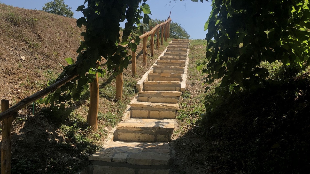 Photo of Outdoor in Martindale