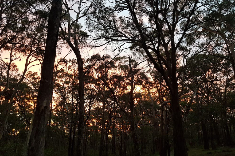 Photo of Outdoor in Riddells Creek