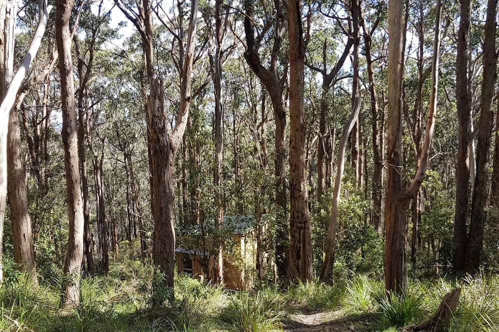 Photo of Outdoor in Riddells Creek