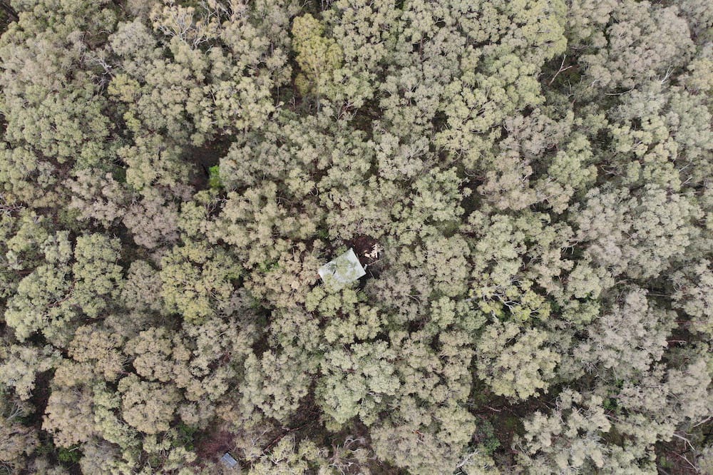 Photo of Others in Riddells Creek