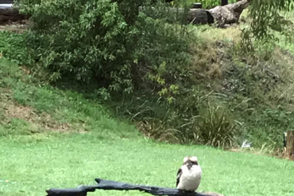 Photo of Outdoor in Riddells Creek
