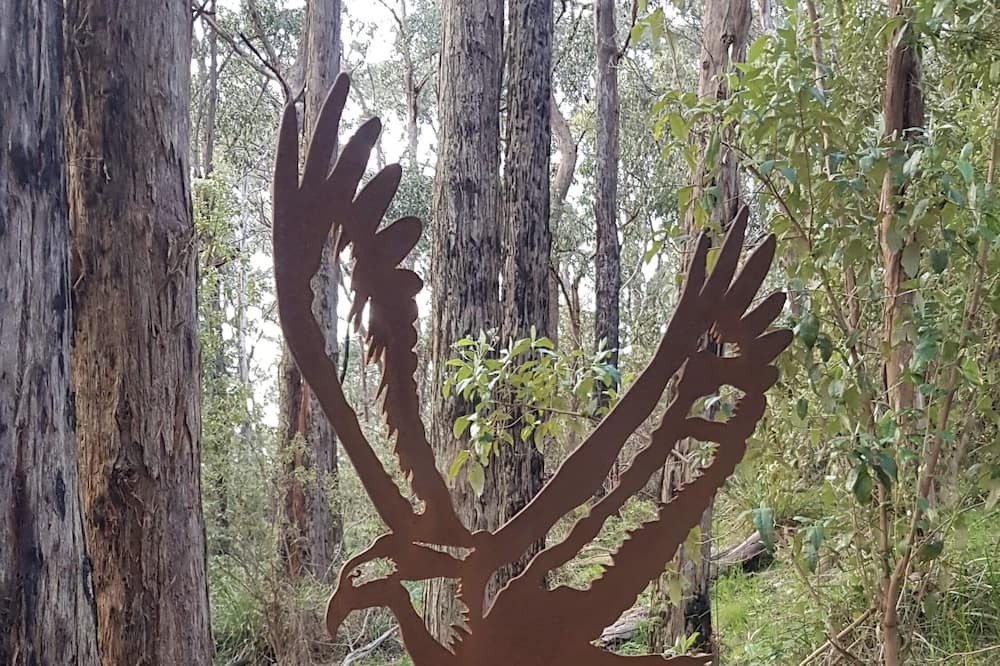 Photo of Outdoor in Riddells Creek