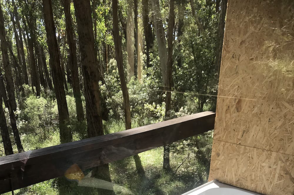 Photo of Others in Riddells Creek