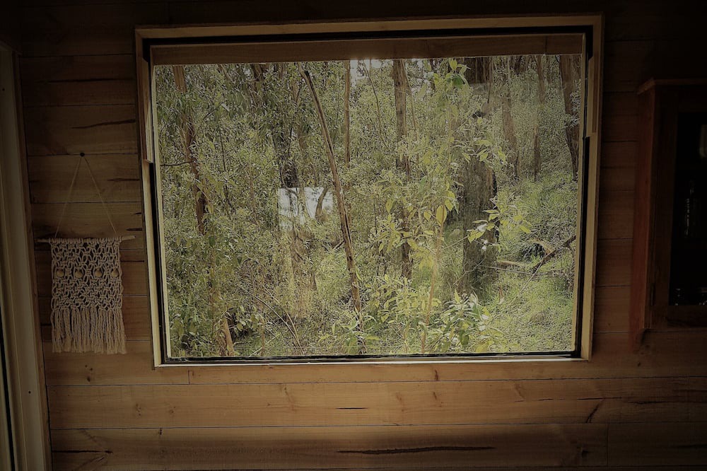 Photo of Livingroom in Riddells Creek