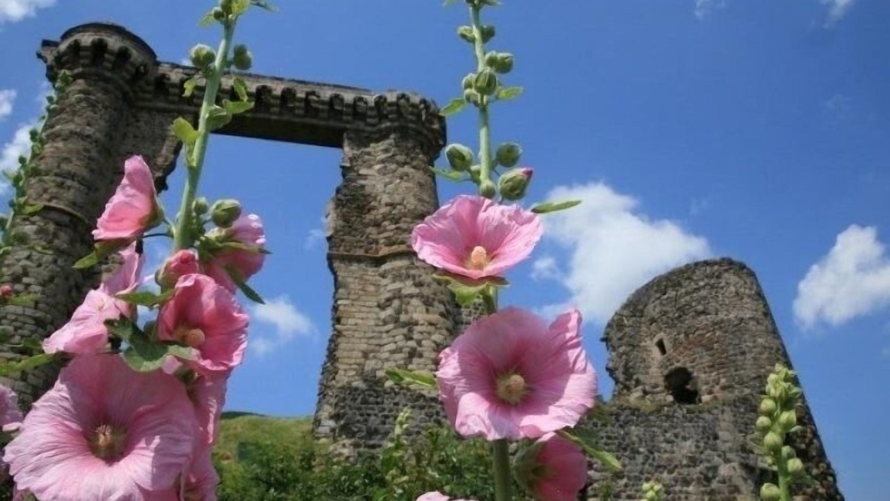 Photo of Outdoor in Chavaniac-Lafayette
