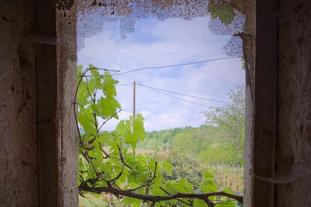 Photo of Others in Verac