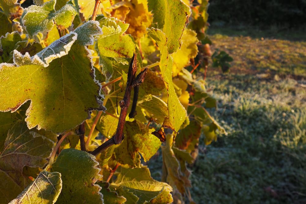 Photo of Outdoor in Verac