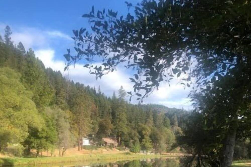 Photo of Others in Douglas City