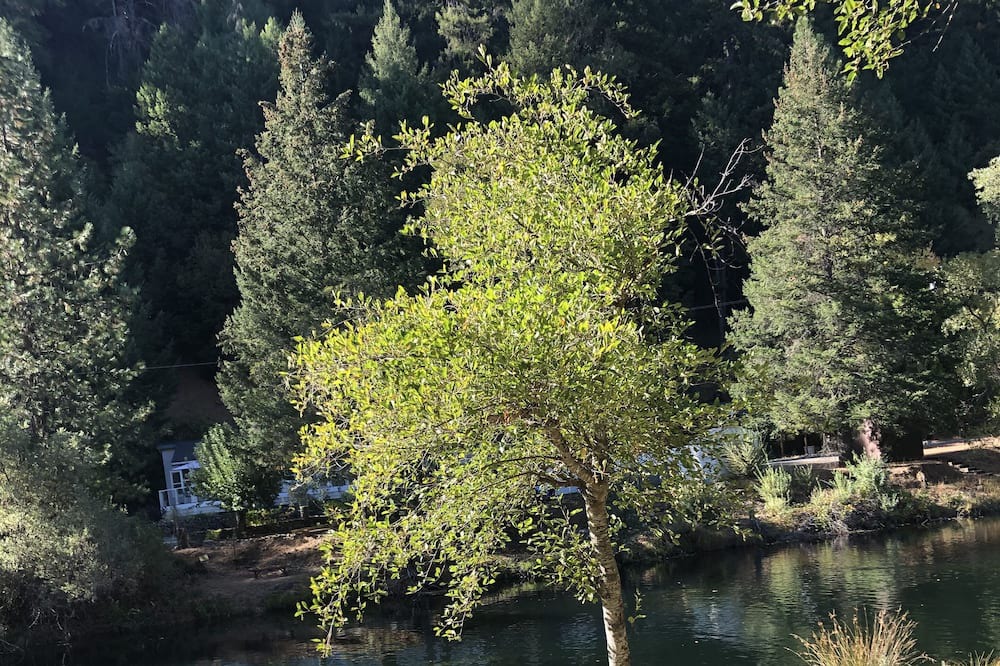 Photo of Others in Douglas City