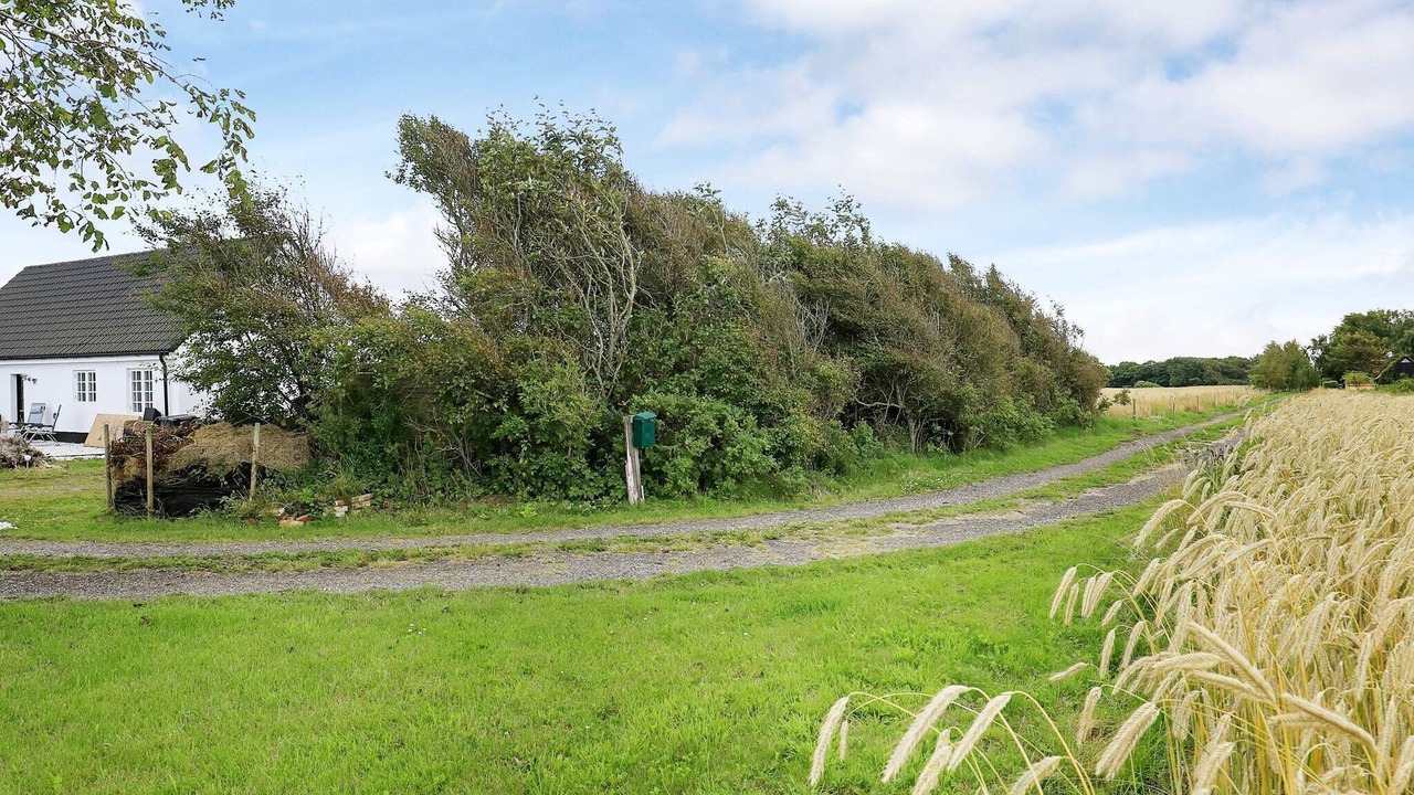 Photo of Outdoor in Lokken
