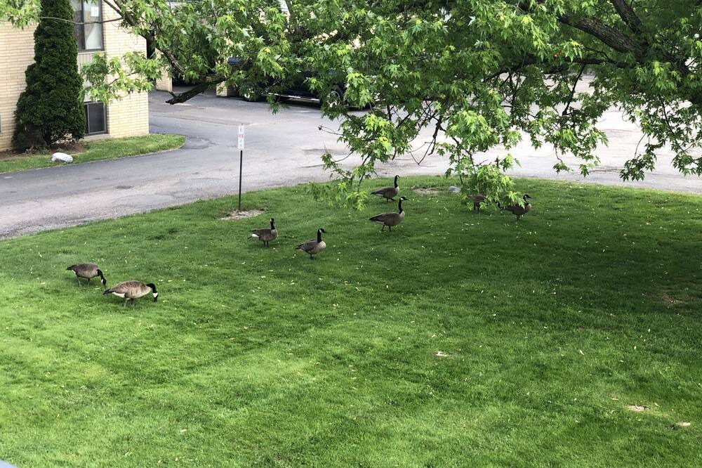 Photo of Outdoor in Maple Heights