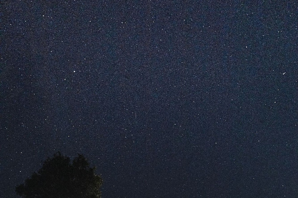 Photo of Others in Eagleton