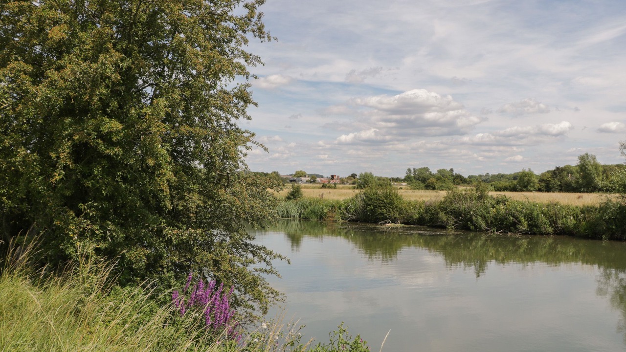 Photo of Others in South Leigh