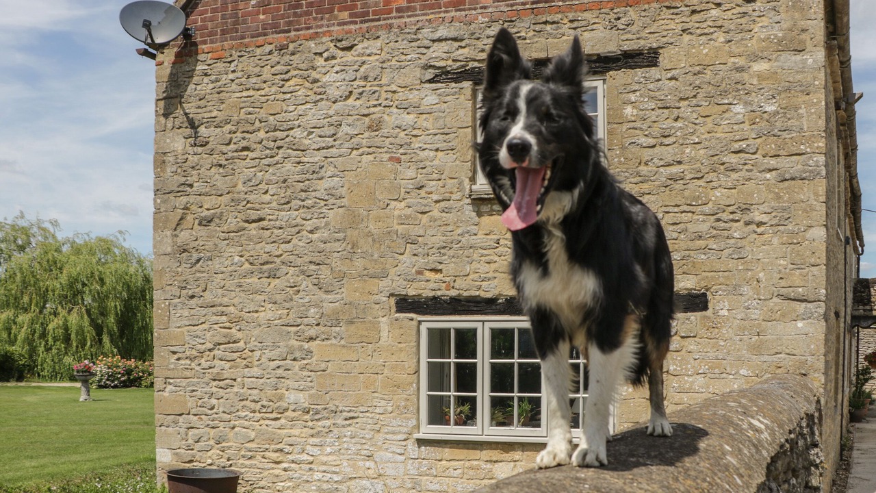 Photo of Others in South Leigh