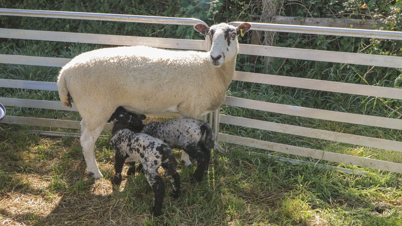 Photo of Others in South Leigh