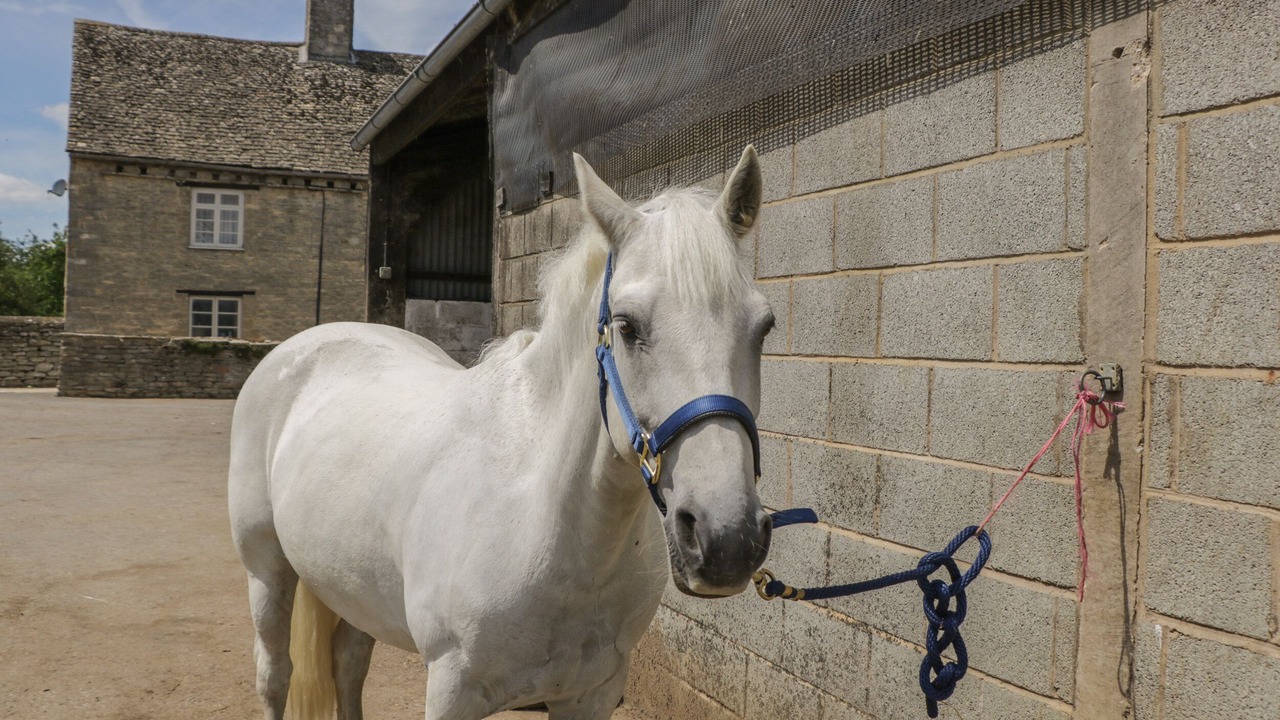 Photo of Others in South Leigh