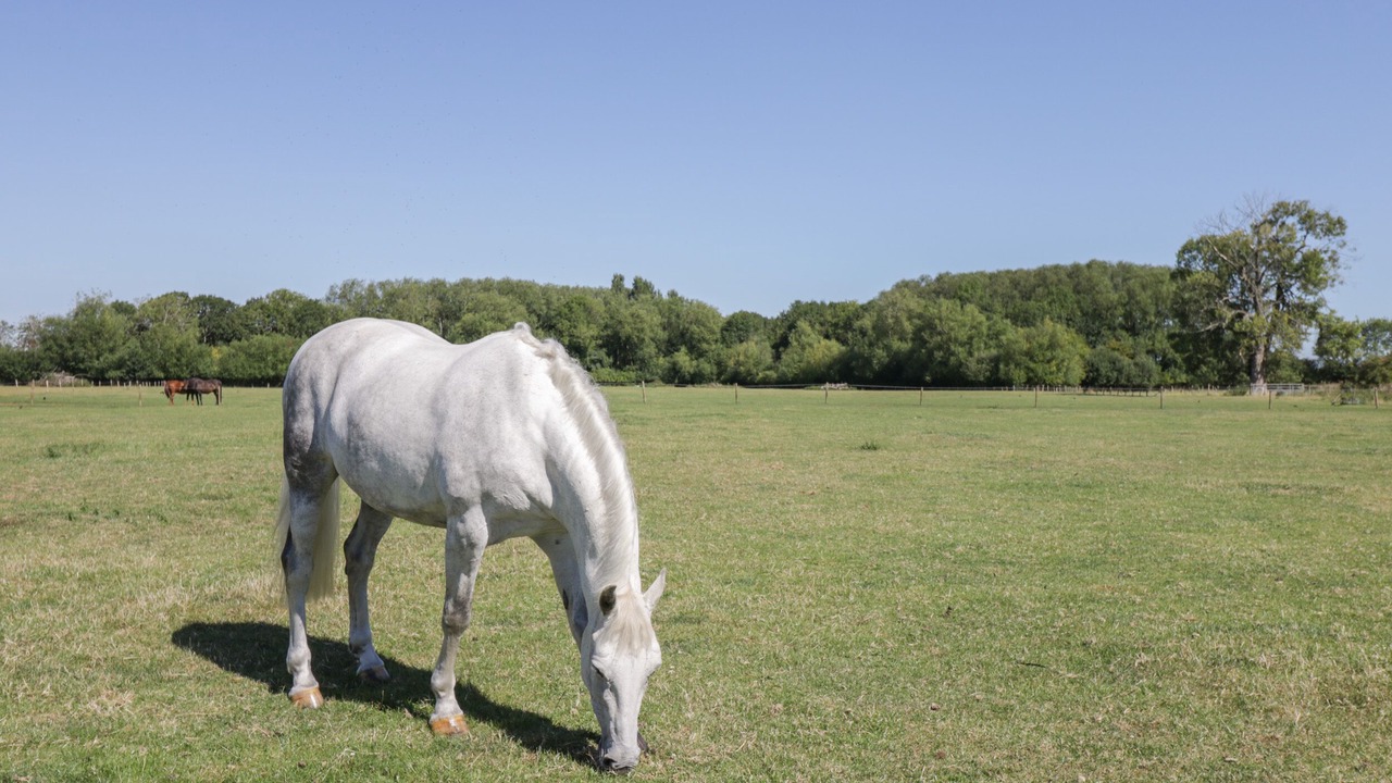 Photo of Others in South Leigh
