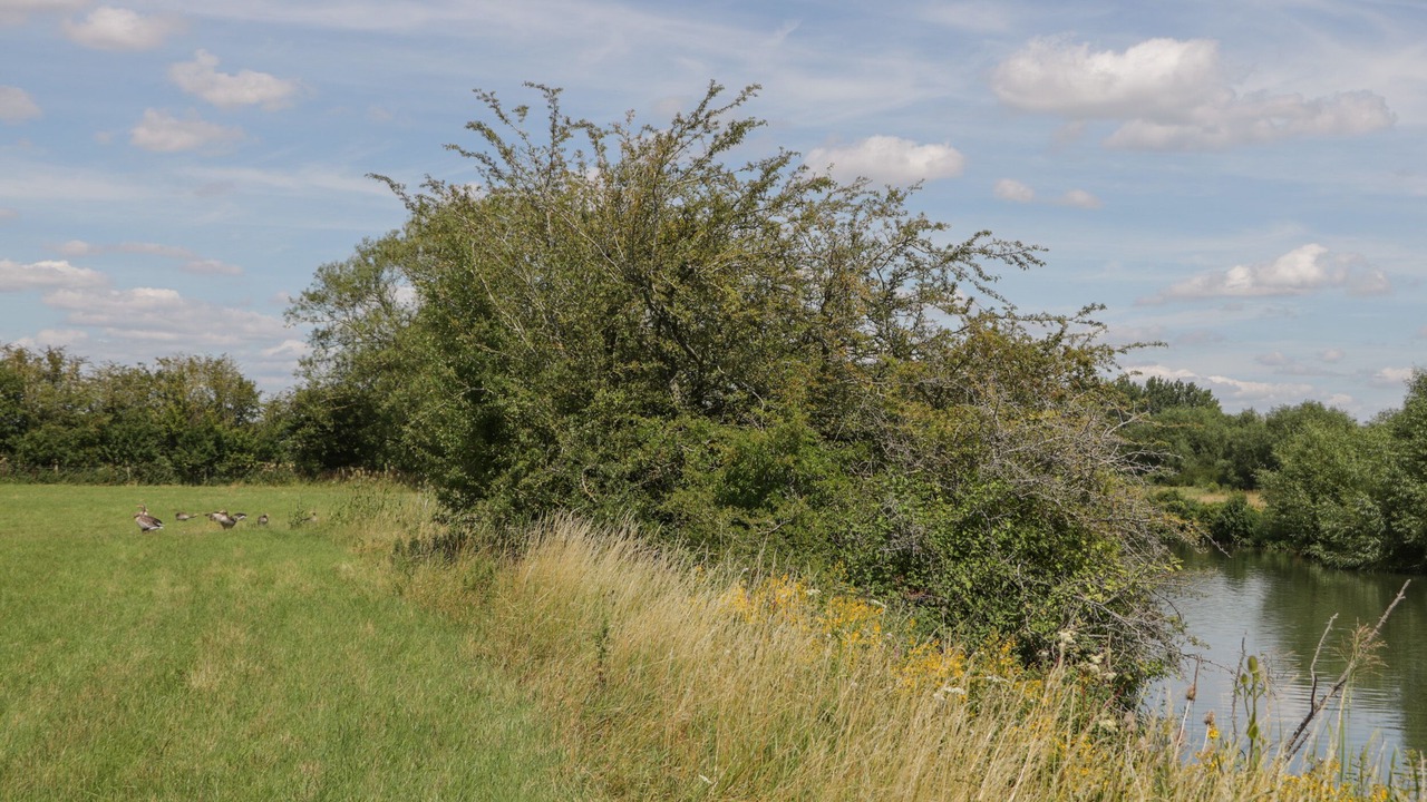 Photo of Others in South Leigh