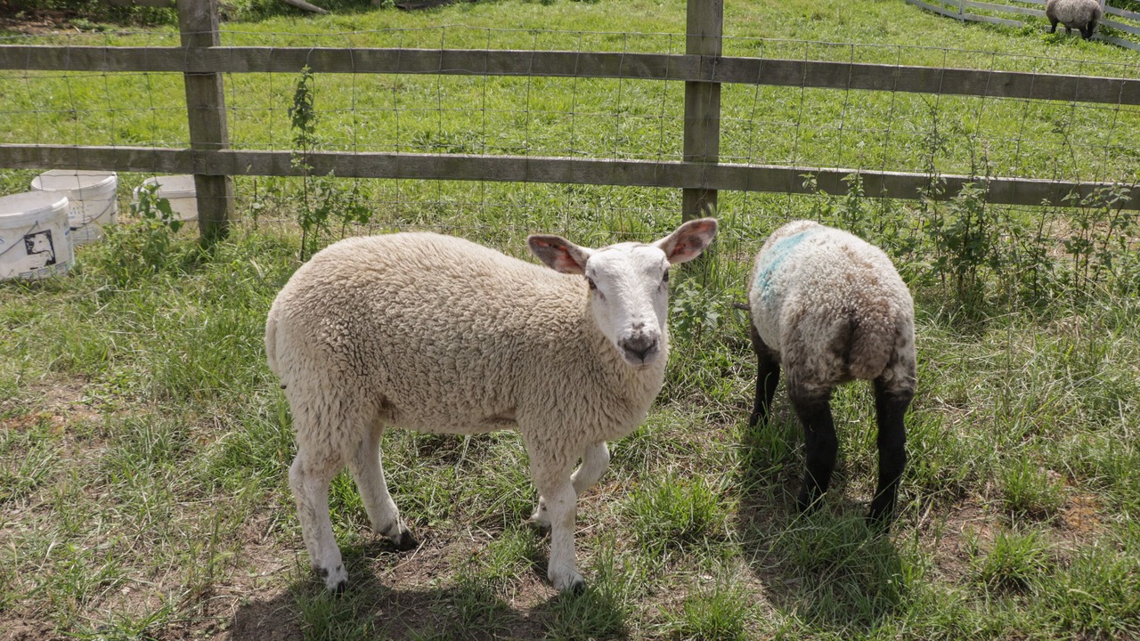 Photo of Others in South Leigh