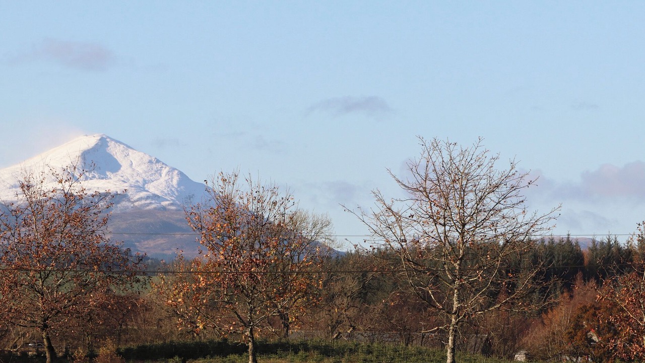 Photo of Others in Balfron