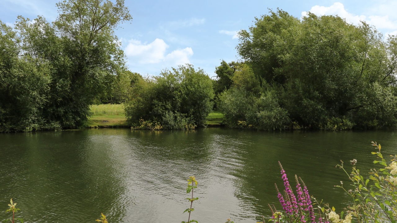 Photo of Others in Cholsey