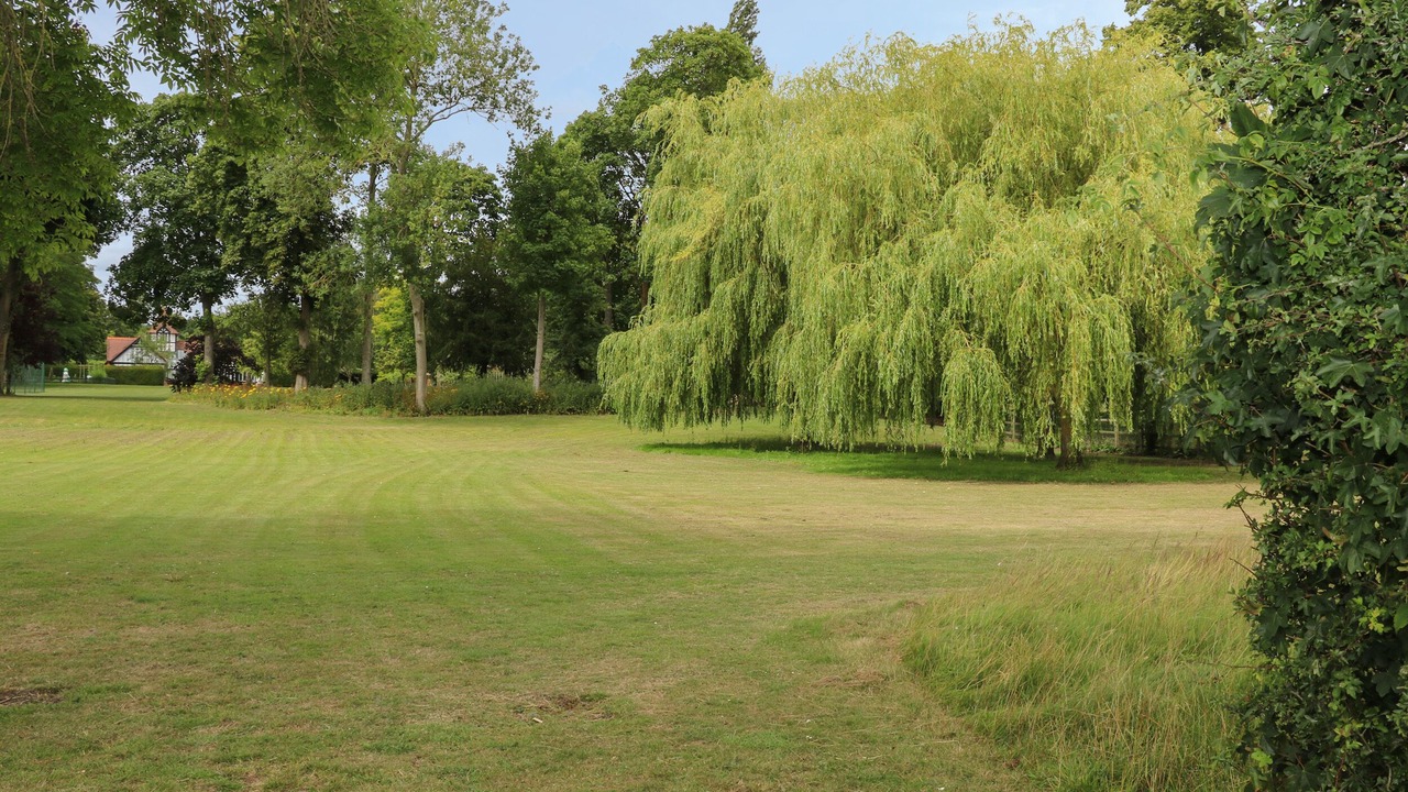 Photo of Others in Cholsey