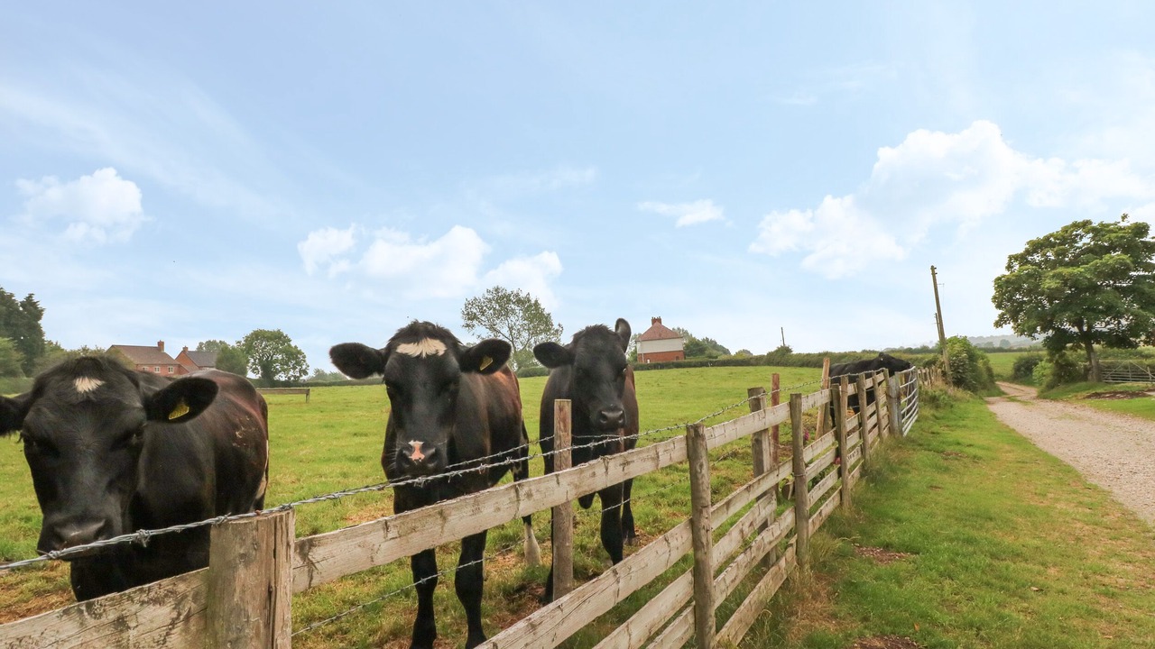 Photo of Others in Abbots Bromley
