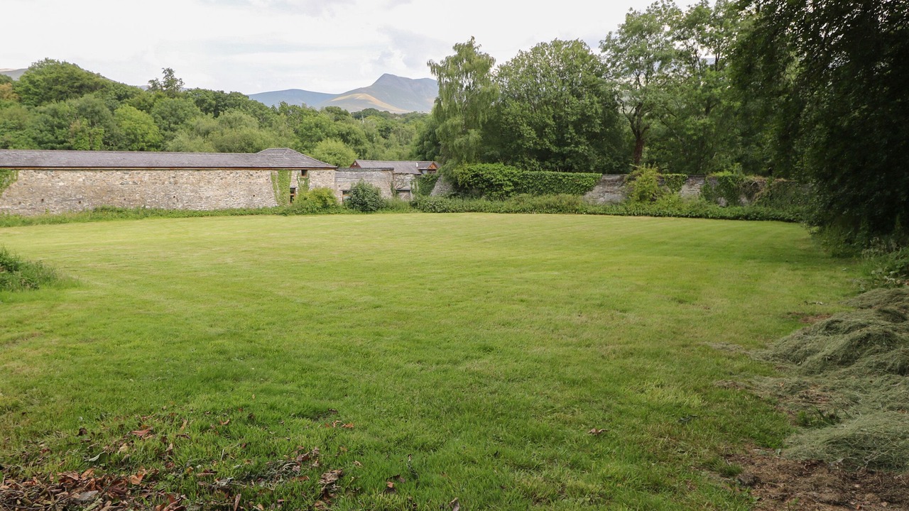 Photo of Others in Bethesda