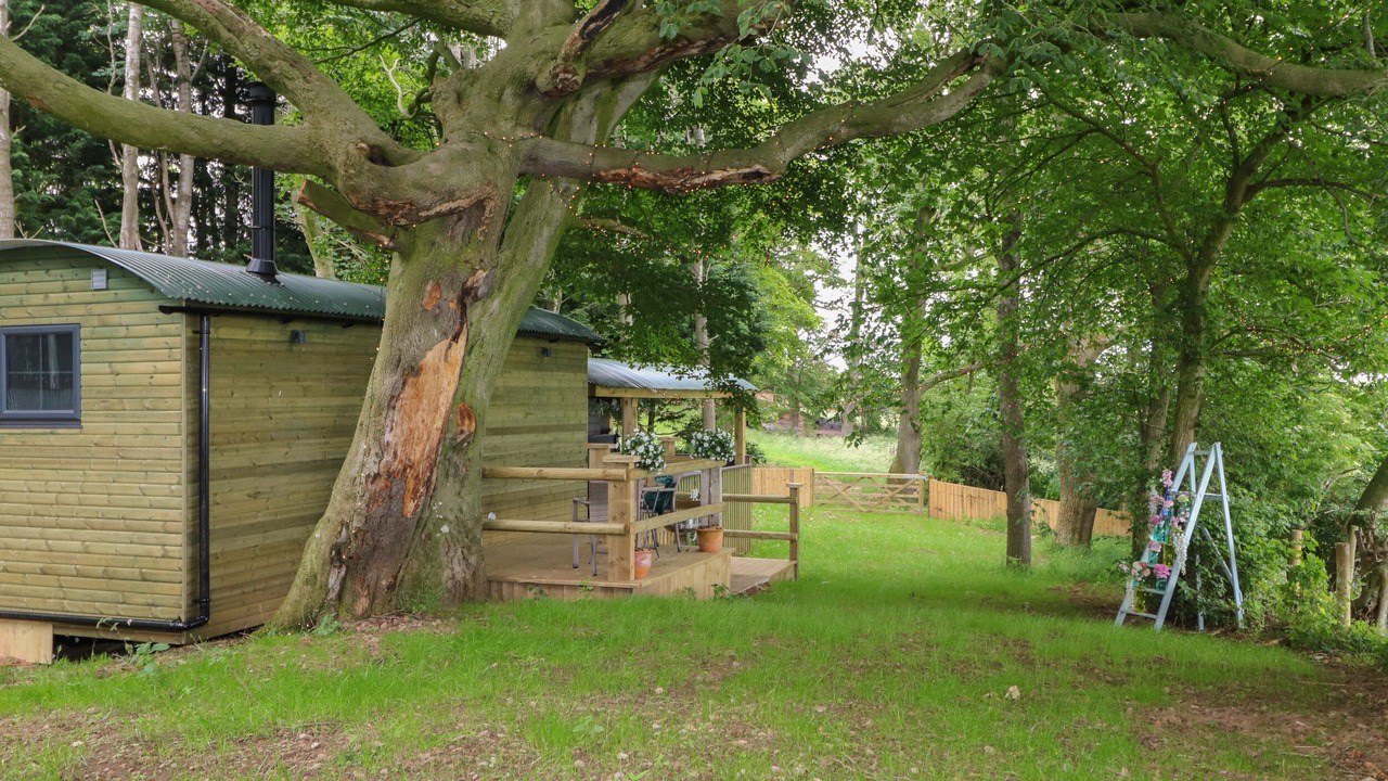 Photo of Outdoor in Wing