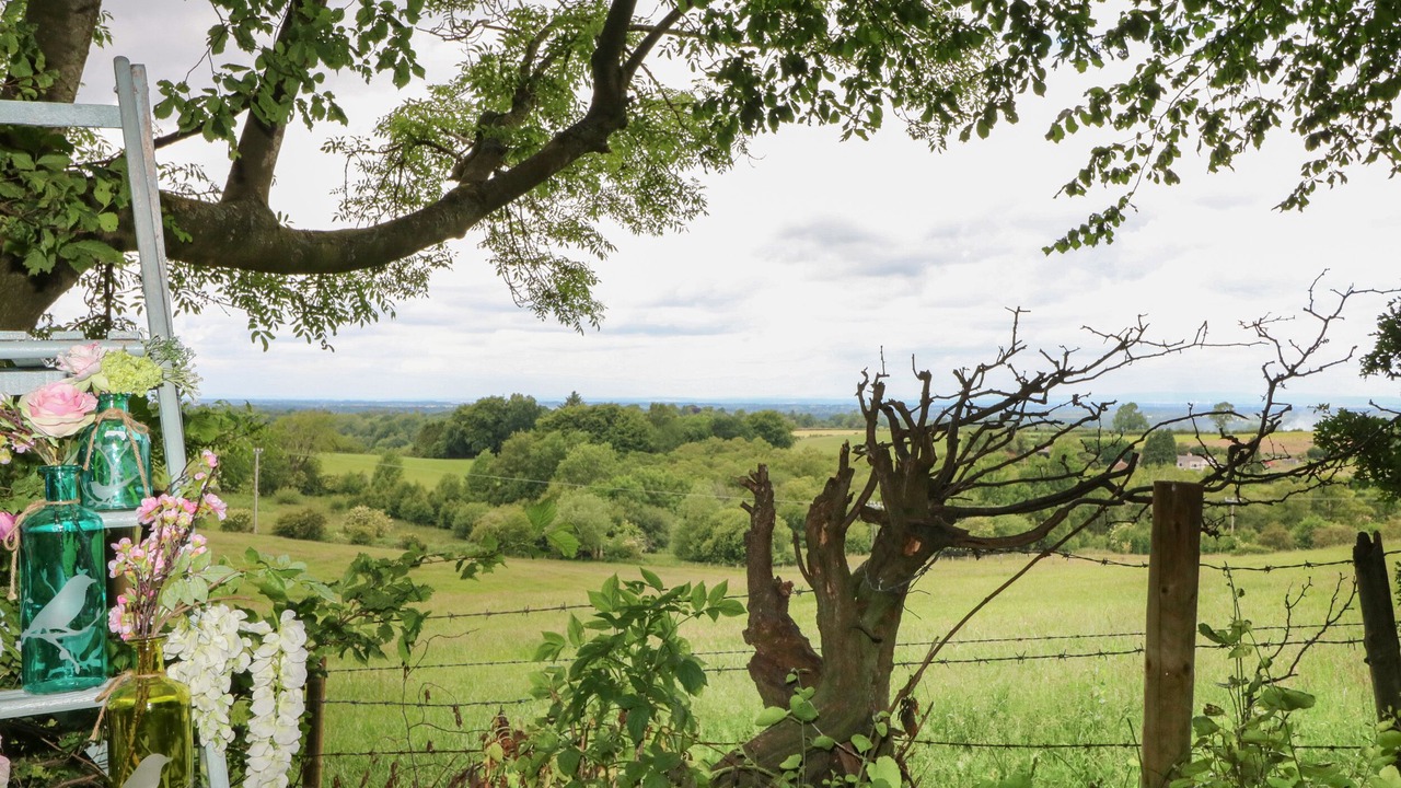 Photo of Others in Wing