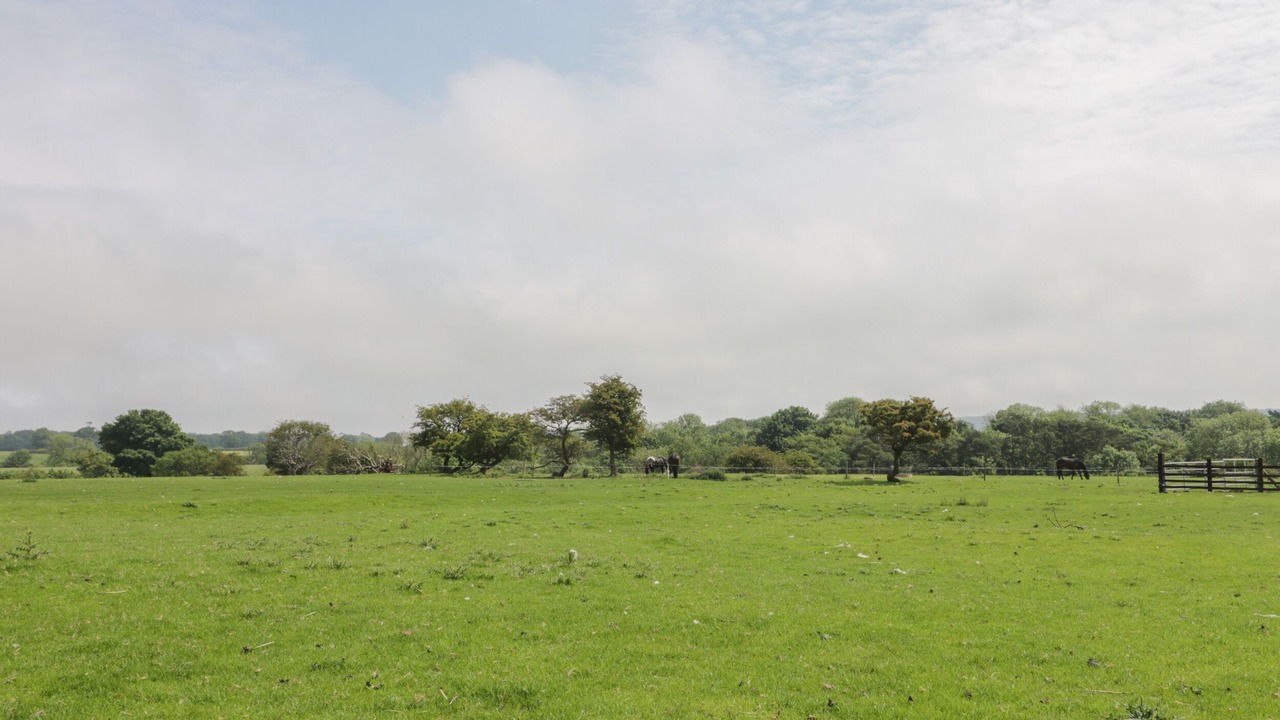 Photo of Others in Scalby