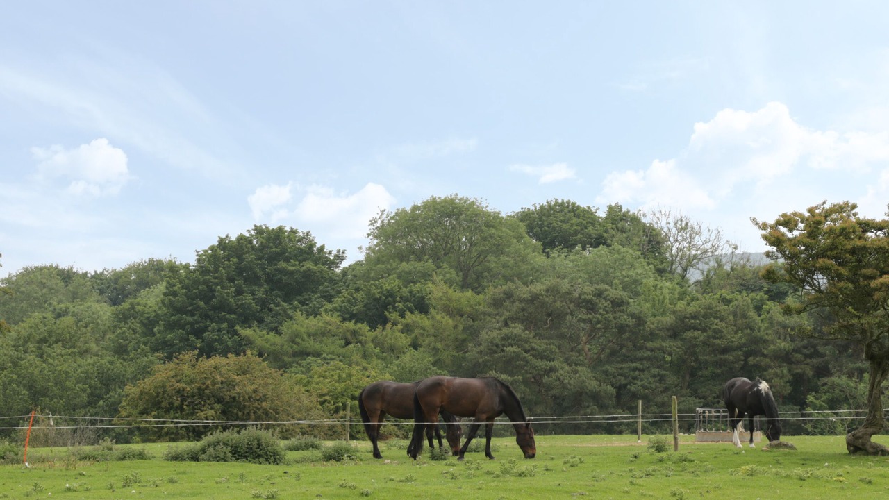 Photo of Others in Scalby