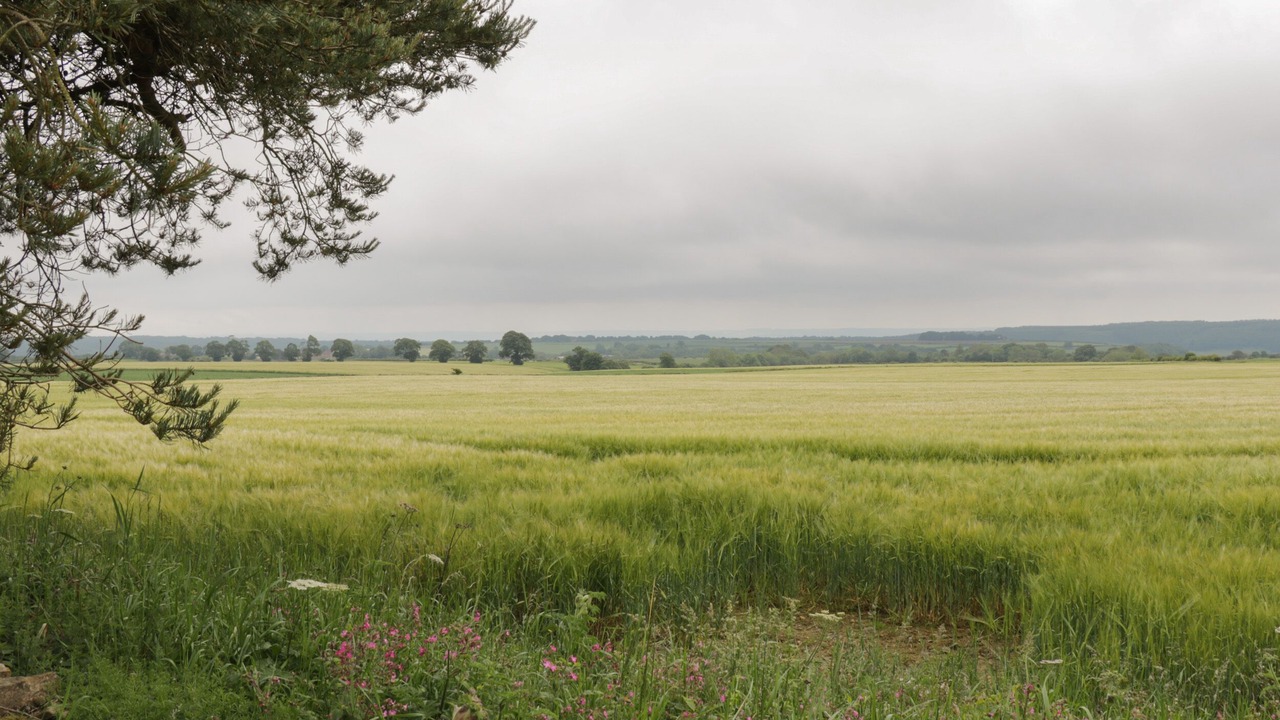 Photo of Others in Scalby