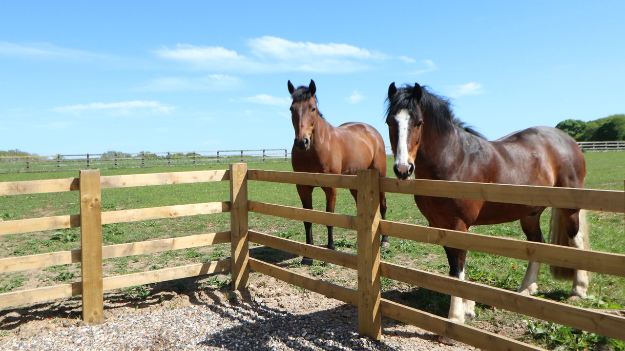 Photo of Others in Richmond