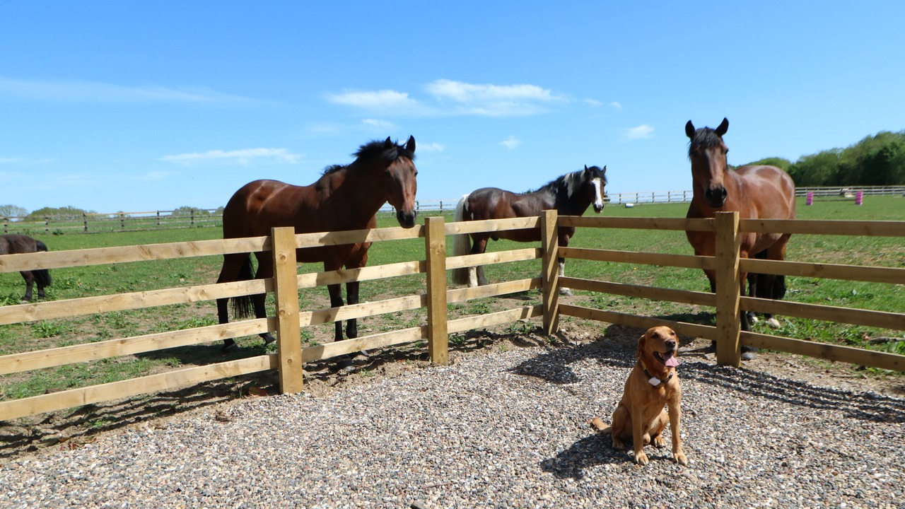 Photo of Others in Richmond