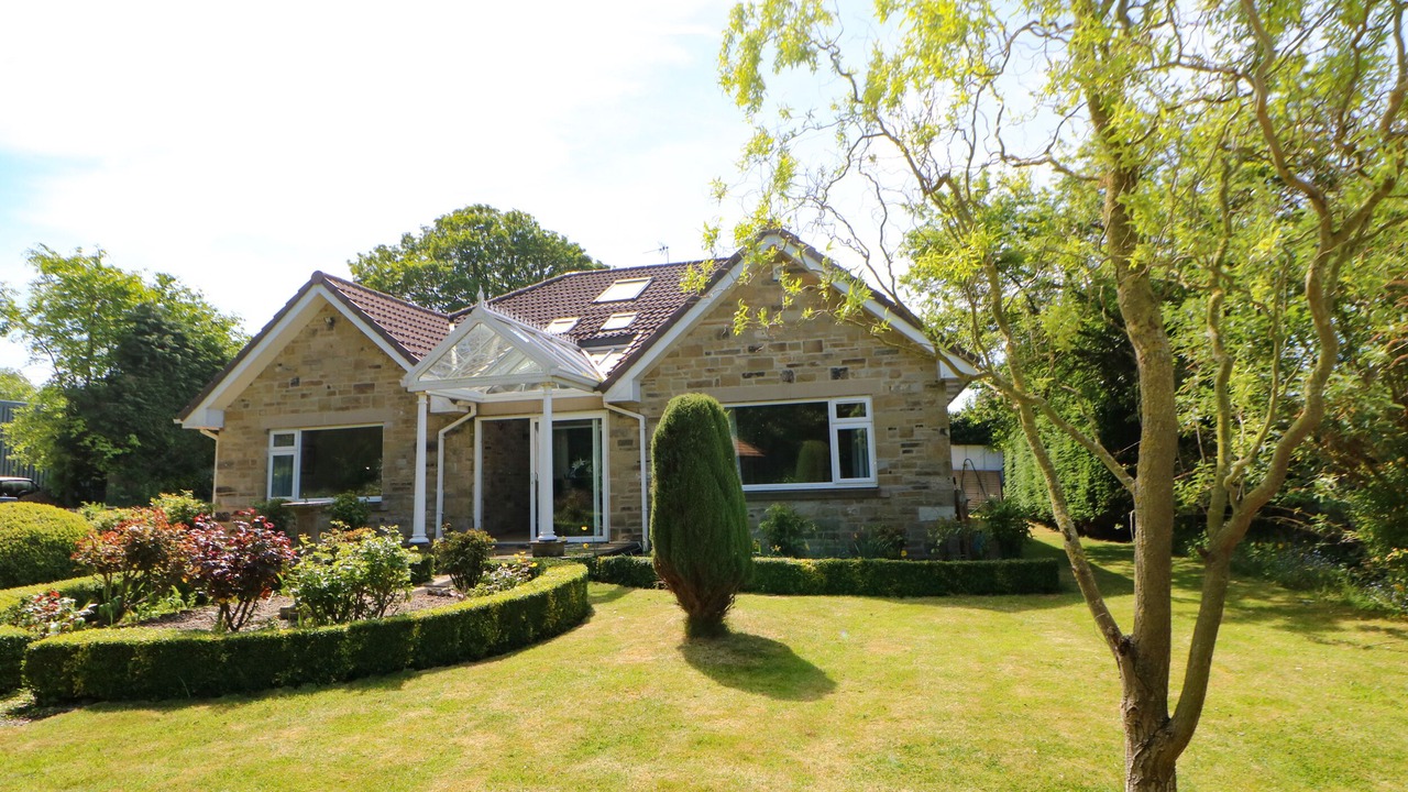 Photo of Others in Richmond