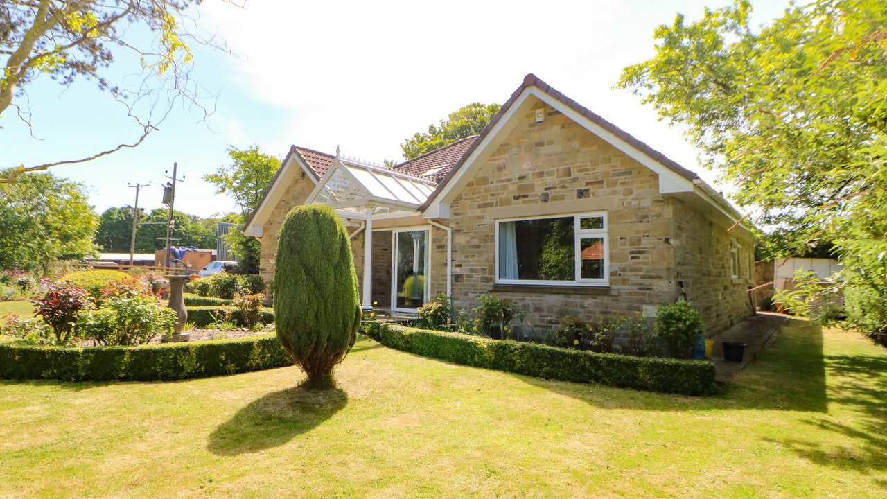 Photo of Others in Richmond