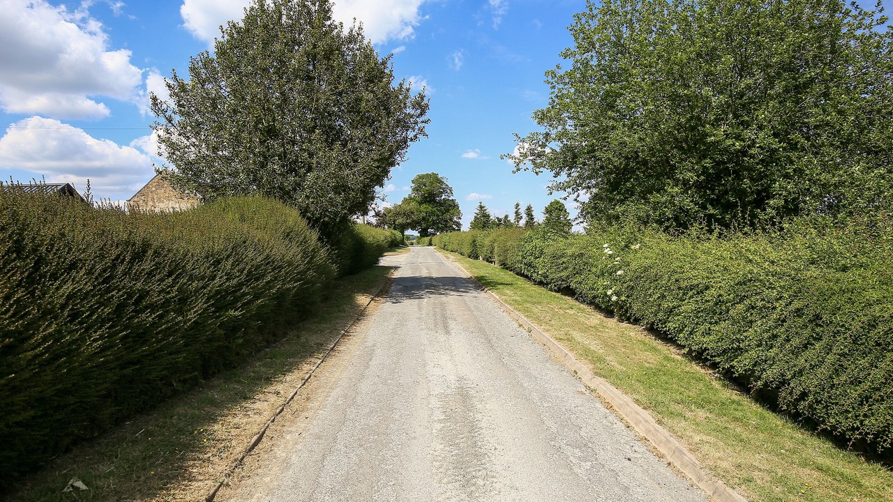 Photo of Others in Ludwel