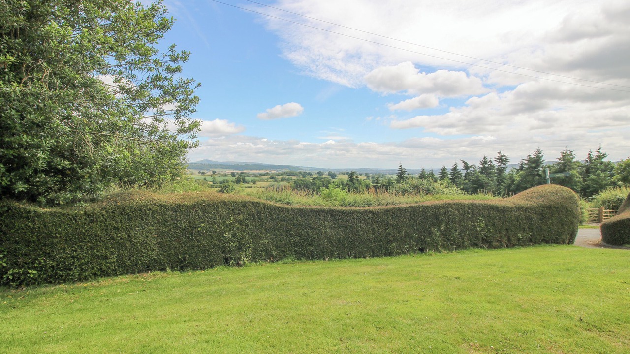 Photo of Others in Ludwel