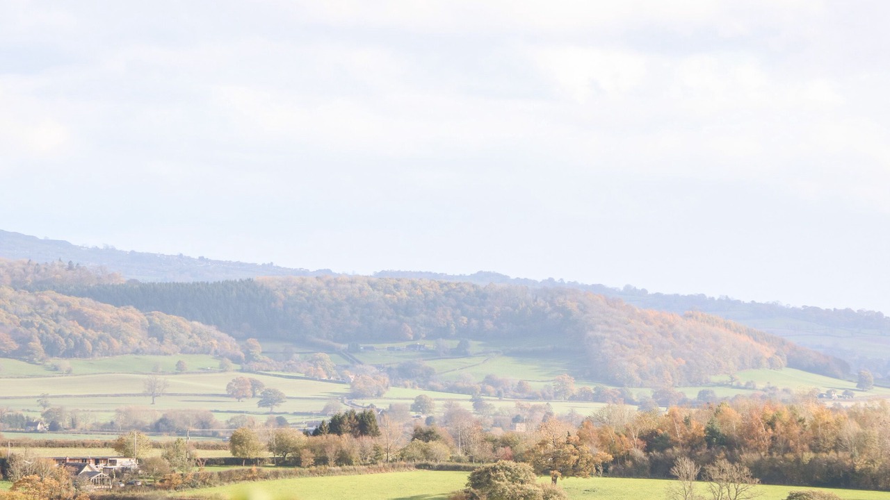 Photo of Others in Onibury